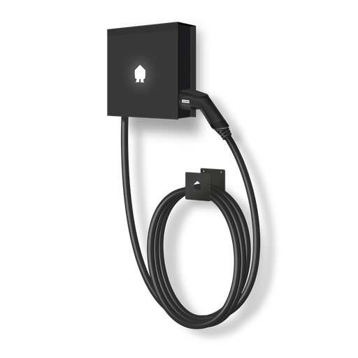 EV WALL BUSINESS 22kW Laadstation (8m kabel) zwart